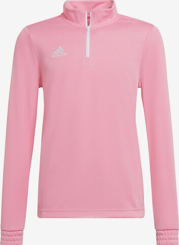 ADIDAS PERFORMANCE Performance Shirt 'Entrada 22' in Pink: front