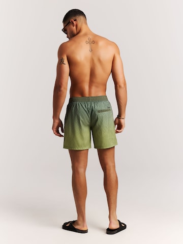 PROTEST Board Shorts 'PRTNorthaw' in Green