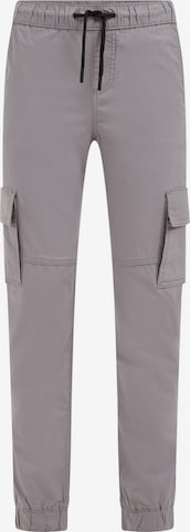 WE Fashion Zúžený Kalhoty – šedá: přední strana