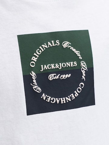 Jack & Jones Junior Majica 'JORCATSKILLS' | bela barva