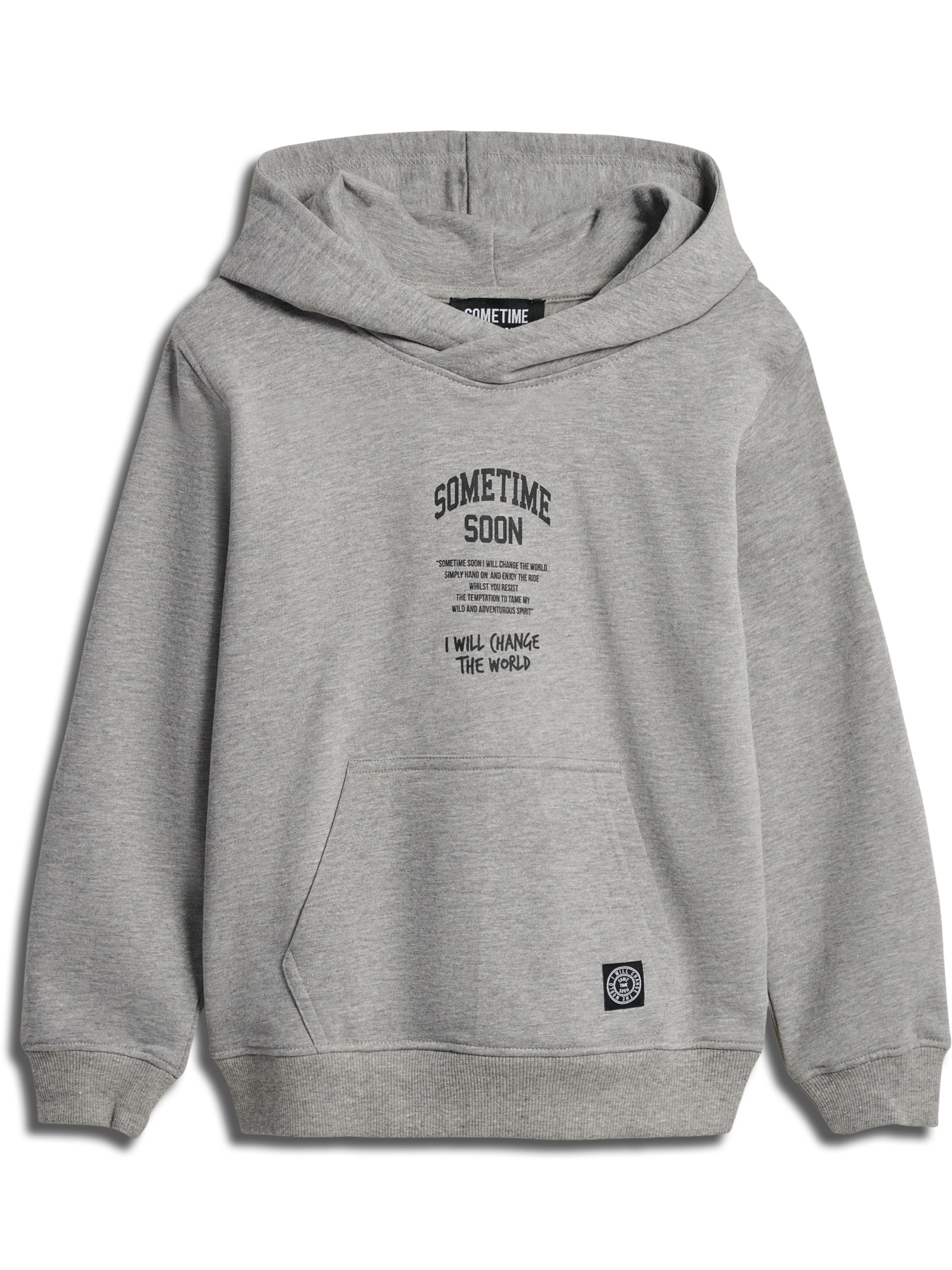 SOMETIME SOON Sweatshirt 'Dimas' i grå: forside