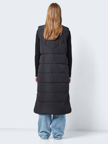 Noisy may Vest 'Dalcon' in Black