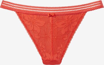 LASCANA Panty in Orange: front