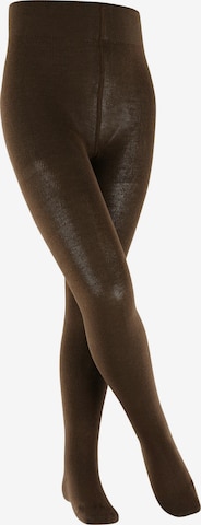 FALKE Tights 'Family' in Brown: front