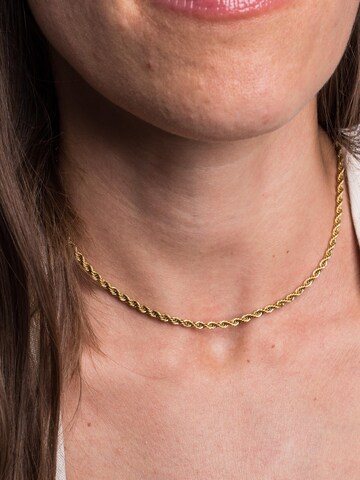 Akitsune Necklace 'Vitality' in Gold