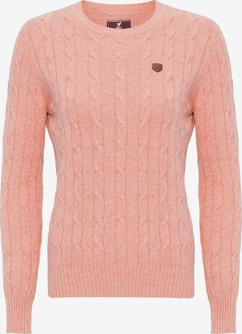 Pullover di Williot in rosa: frontale