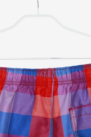 JOHN ADAMS Shorts 31-32 in Lila