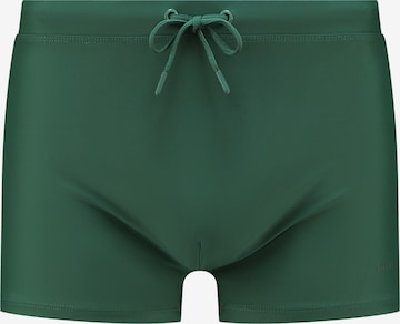 Pantaloncini da bagno di Shiwi in verde: frontale