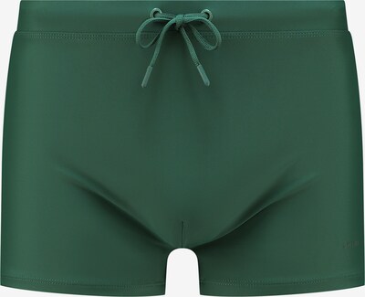 Shiwi Kopalne hlače | zelena barva, Prikaz izdelka