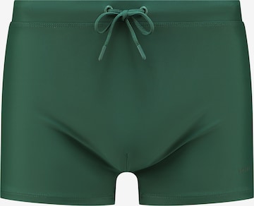 Shiwi Бански къси панталонки в зелено: отпред