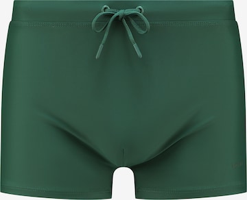 Pantaloncini da bagno di Shiwi in verde: frontale
