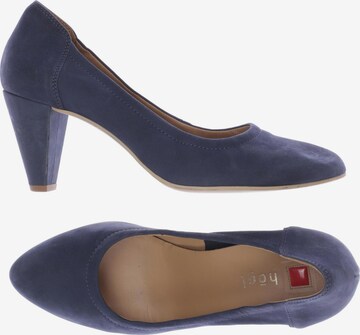 Högl High Heels & Pumps in 41 in Blue: front