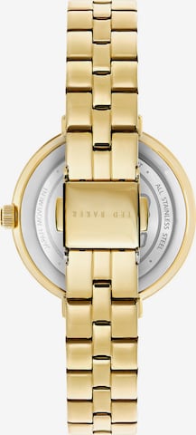Ted Baker Analog Watch 'Ammy' in Gold