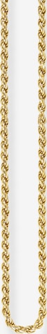 Thomas Sabo Necklace in Gold: front