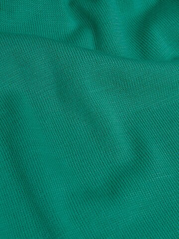Goldner Trui in Groen