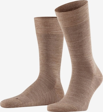 Calzino di FALKE in beige: frontale