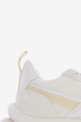 ASH Sneakers & Trainers in 36 in White