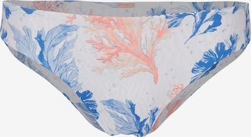 O'NEILL Bikinibroek 'Rita' in Blauw: voorkant