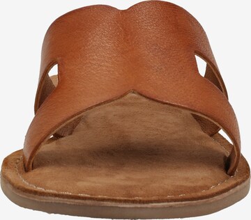 LAZAMANI Mules in Brown