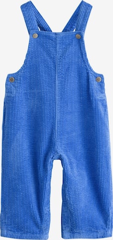 regular Pantaloni con pettorina di Next in blu: frontale