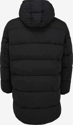 Calvin Klein Big & Tall Winterjas in Zwart