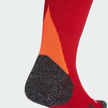 ADIDAS PERFORMANCE - Calcetines deportivos 'Adi 24' en rojo