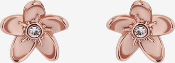 Ted Baker Earrings 'BEAAUU' in Gold: front