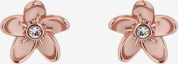 Ted Baker Earrings 'BEAAUU' in Gold: front