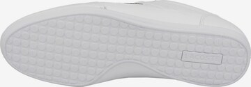 Baskets basses 'Chaymon 121' LACOSTE en blanc