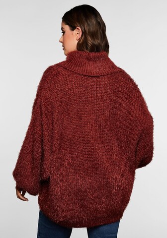 Pull-over SHEEGO en marron