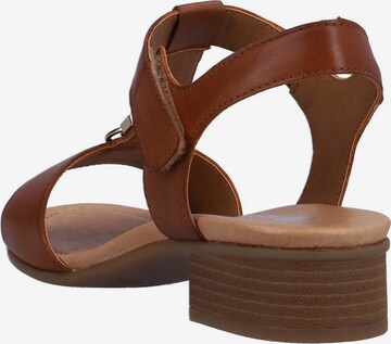 REMONTE Sandals in Brown