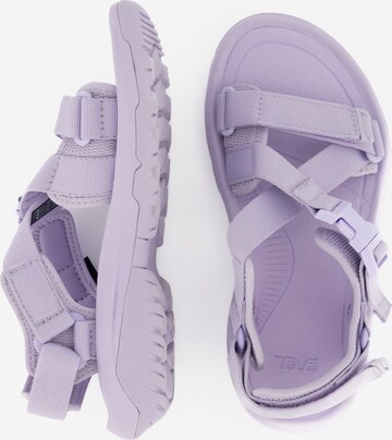 TEVA Sandals in Purple