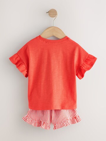 Next - Conjuntos em mistura de cores