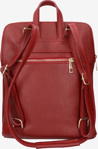 Gave Lux Rucksack in Rot: predná strana