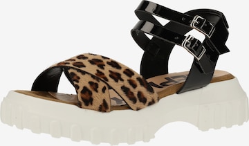 REPLAY Strap Sandals in Black: front