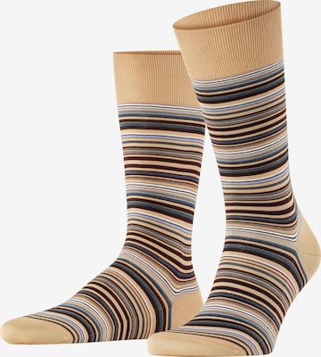 FALKE Socken 'Microblock' in Beige: Vorderseite