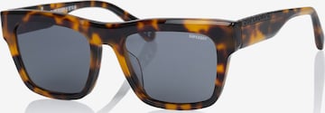 Superdry Eyewear Sonnenbrille in Braun: Vorderseite