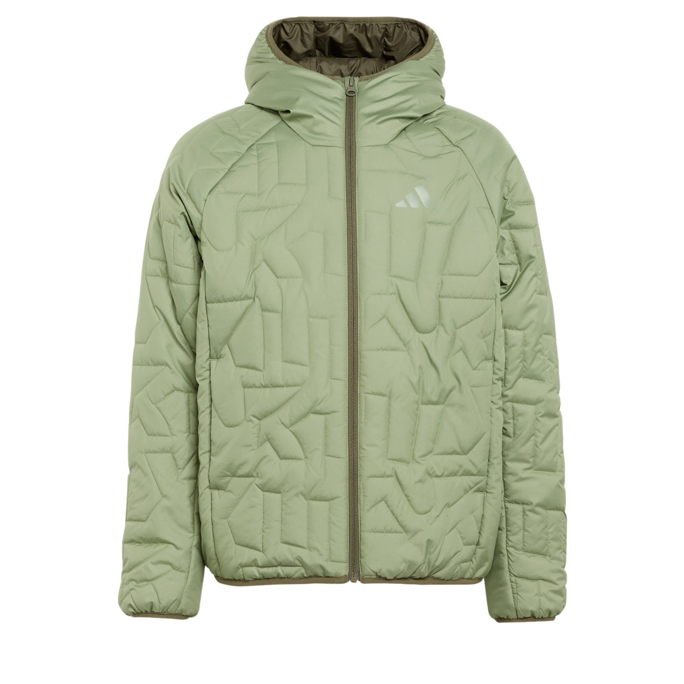 ADIDAS TERREX Outdoor jacket 'Xperior' in Green: front