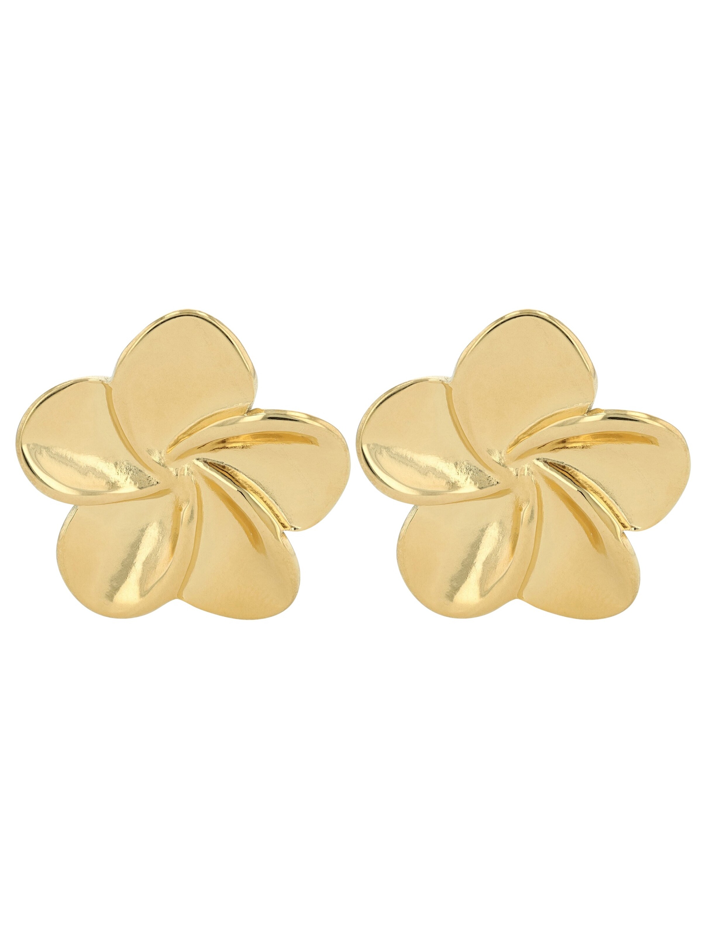 Akzent Earrings 'langlebig' in Gold: front