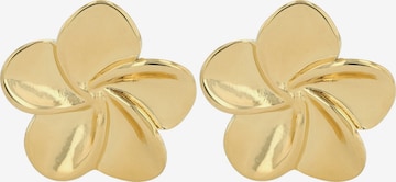 Akzent Earrings 'langlebig' in Gold: front