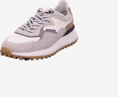 Floris van Bommel Schnürschuh in braun / grau / weiß, Produktansicht
