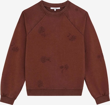 Scalpers Sweatshirt i brun: forside