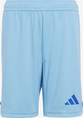 ADIDAS PERFORMANCE Sporthose in Blau: Vorderseite