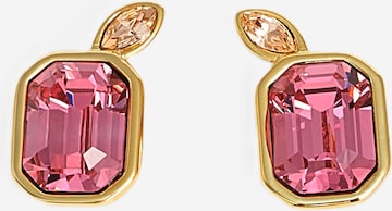 Ted Baker Ohrringe 'MICHELLE' in Gold: Vorderseite