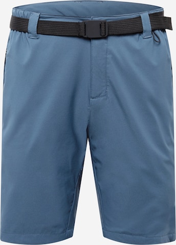 Pantaloni per outdoor 'Tuned In Pro' di DARE2B in grigio: frontale