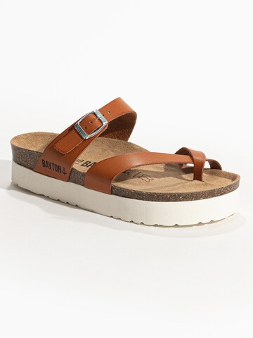 Bayton Mule 'Cintra' in Brown