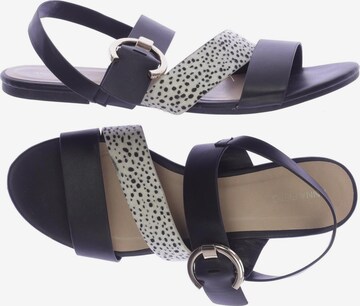 Anna Field Sandals & High-Heeled Sandals in 42 in Black: front