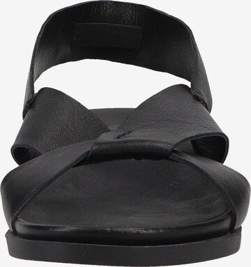 ILC Sandals in Black