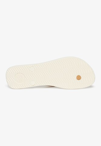 Tongs Superdry en blanc
