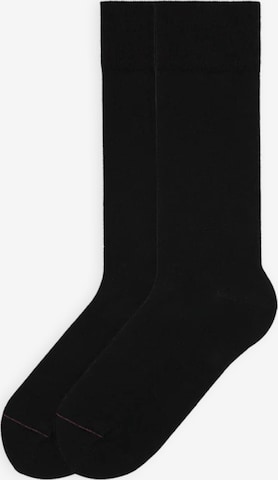 Von Jungfeld Socks 'SIGNATURE' in Black: front